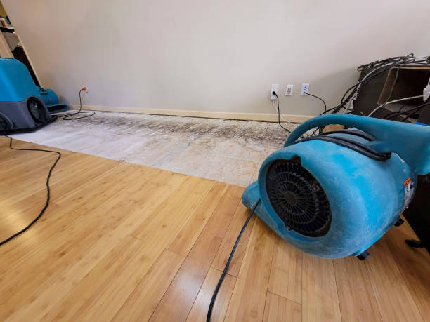 Professional Sewage Cleanup technician working in Villa Grande, CA